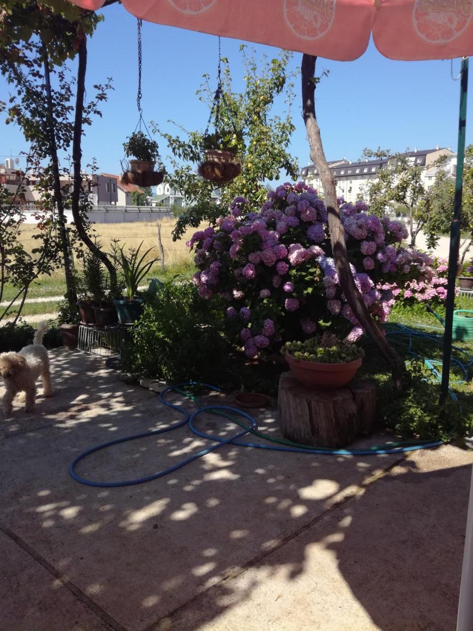 Frile Apartments Nikšić Εξωτερικό φωτογραφία